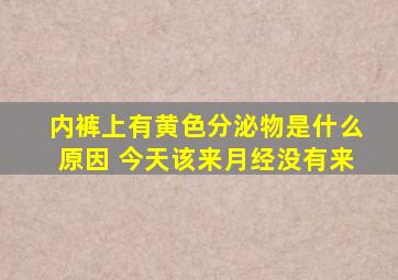 内裤上有黄色分泌物是什么原因 今天该来月经没有来